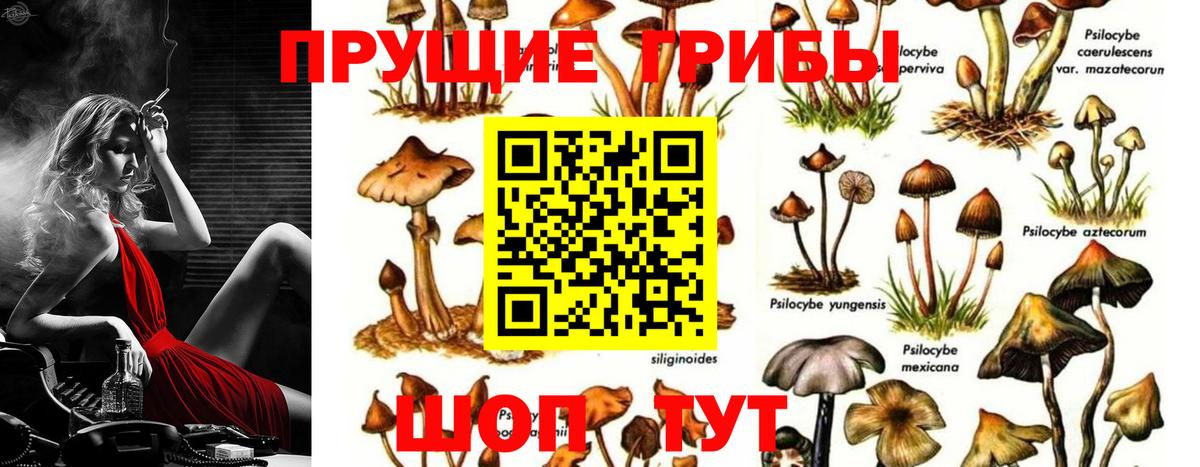 Ижевск  Псилоцибиновые грибы Psilocybe  Галлюциногенные грибы ЛСД  Вход с VPN 