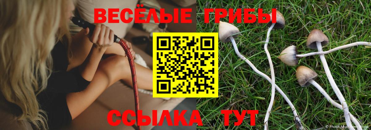 Псилоцибиновые грибы GOLDEN TEACHER Ижевск